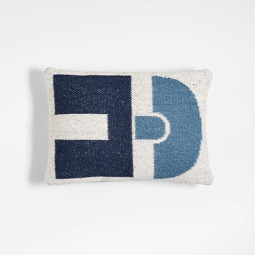 Crate and Barrel pillow! With insert!